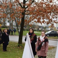 Zobacz w powiększeniu: 11 listopada 2023 (9)